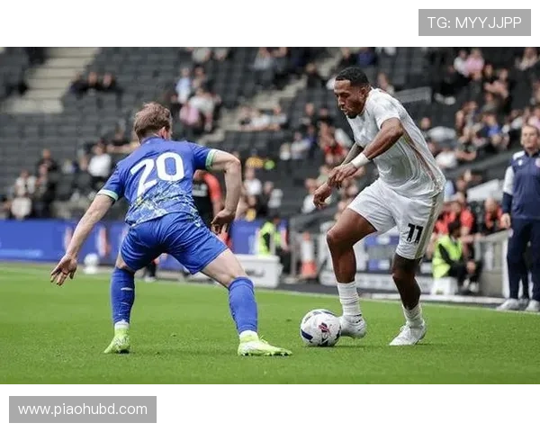 雷丁俱乐部历史沿革与发展现状分析：从英格兰足球顶级联赛到挑战新高峰